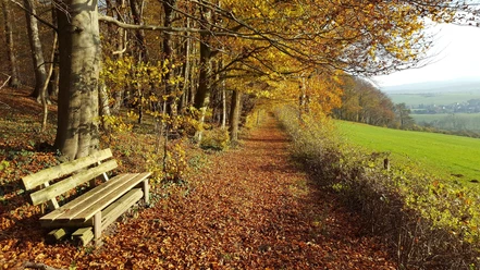 Wanderweg (Hz 1)