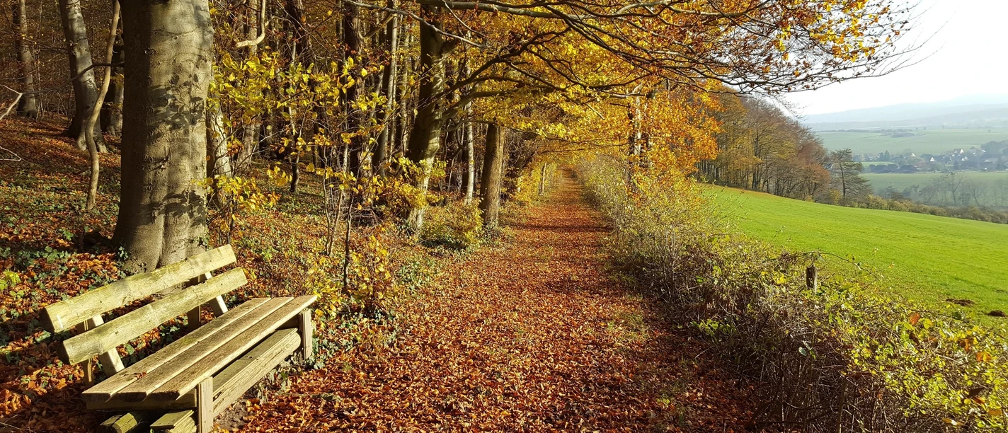 Wanderweg (Hz 1) Wanderweg (Hz 1)