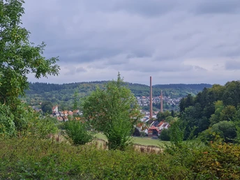Blick auf Grünenplan von der Schneppelhütte