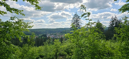 Blick auf Grünenplan vom Gr 3