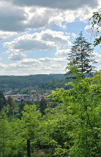 Blick auf Grünenplan vom Gr 3