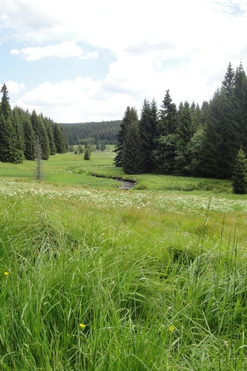im Tal der Schwarzen Pockau