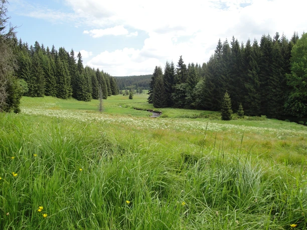 im Tal der Schwarzen Pockau
