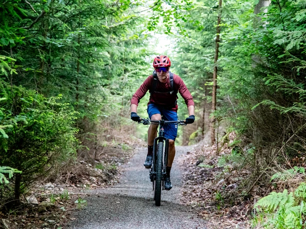 Green Trails Willingen