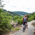 Green Trails Willingen