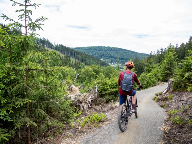 Green Trails Willingen