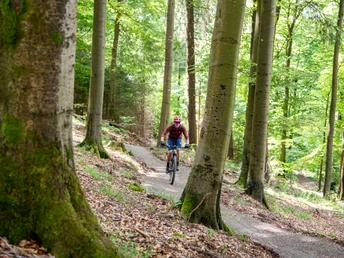 Green Trails Willingen
