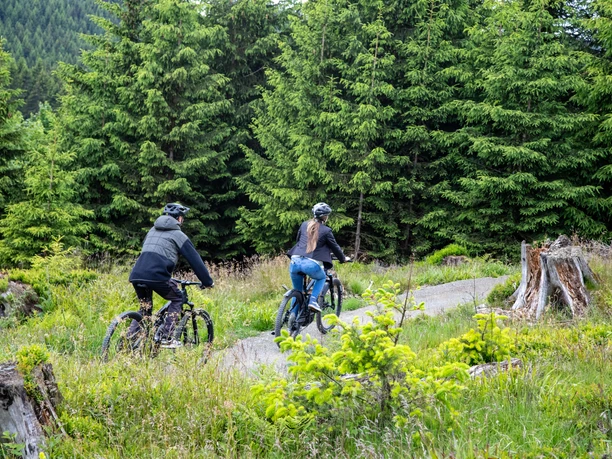 Green Trails Willingen