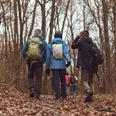 Eine Gruppe von Wanderern in Herbstkleidung geht auf einem laubbedeckten Waldweg durch kahles Geäst.