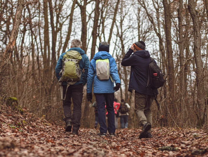 Wandergruppe.jpg Eine Gruppe von Wanderern in Herbstkleidung geht auf einem laubbedeckten Waldweg durch kahles Geäst.