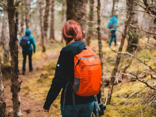Wandern.png Personen wandern auf einem schmalen Waldpfad, umgeben von hohen, dichten Bäumen.