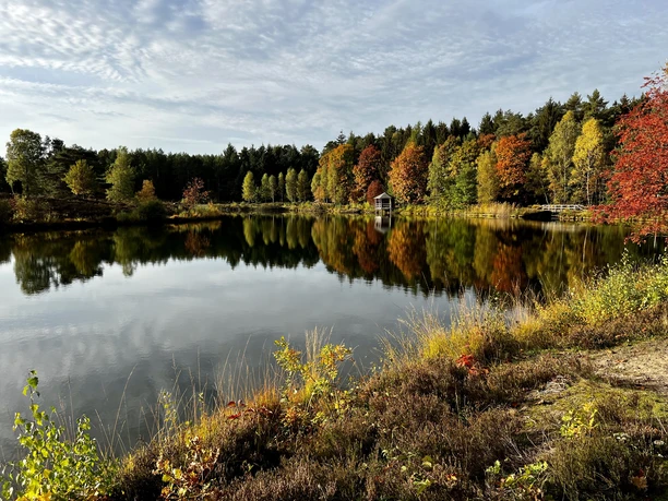 Angelbecksteich im Herbst Fishing pond in the fall