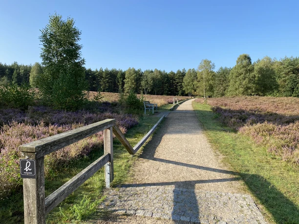 Wandern am Angelbecksteich zur Heideblüte Fishing pond for the heather blossom