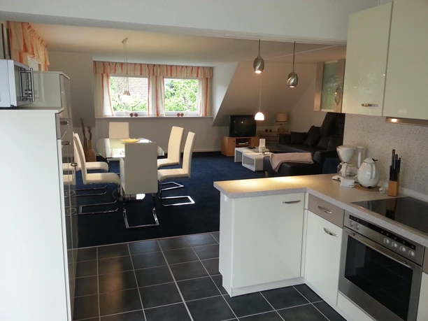 Geräumige Gästewohnung mit offener Küche, Essbereich und Wohnzimmer. Moderne Einrichtung, helle Fenster.