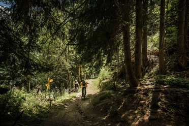 Enduro-Mountainbike in der Aletsch Arena