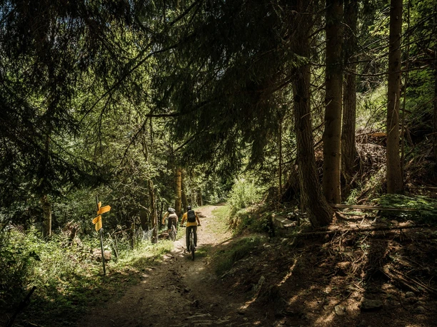 Enduro-Mountainbike in der Aletsch Arena
