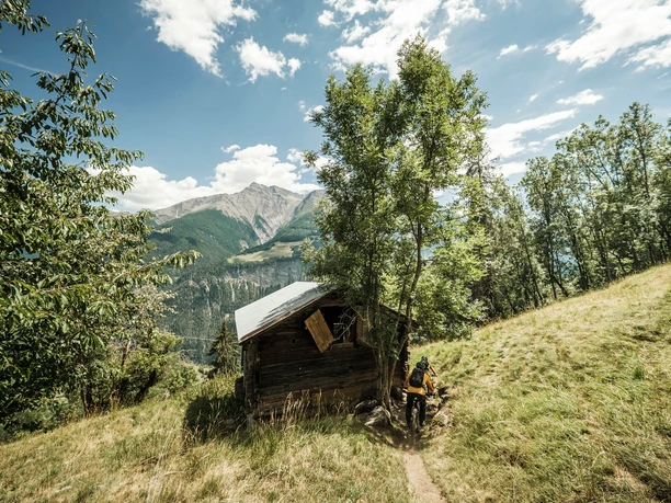 Enduro-Mountainbike in der Aletsch Arena