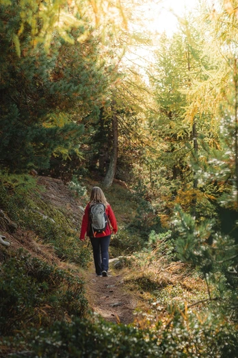 Wanderung vom Fieschertal via Matt zur Fiescheralp