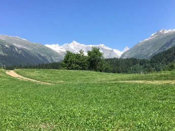 Rundwanderung über die Goms-Bridge nach Chäserstatt