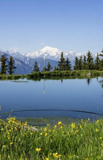 Wanderung von der Fiescheralp via Laxerstafel nach Lax