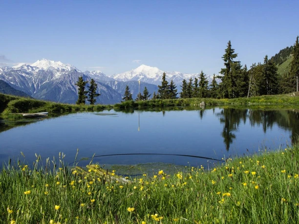 Wanderung von der Fiescheralp via Laxerstafel nach Lax
