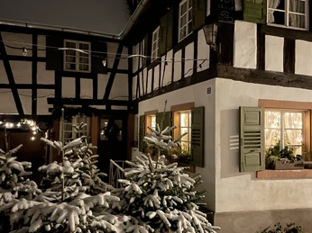 EEC8A556 0ECE 4BE1 A9F6 9C4497FFCD00