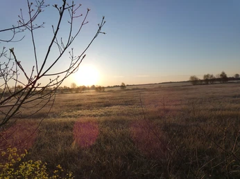 Landschaft im Ahlenmoor