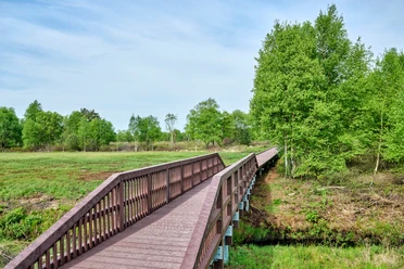 Wanderwege im Ahlenmoor