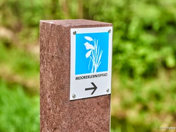 Wegweiser Moorerlebnispfad