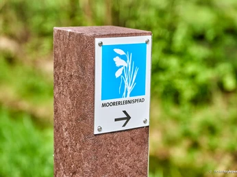 Wegweiser Moorerlebnispfad