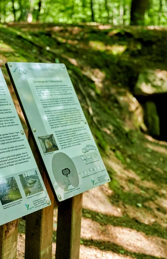 Informationstafeln auf dem Vorgeschichtspfad