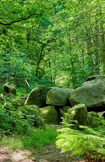 Großsteingräber am Vorgeschichtspfad