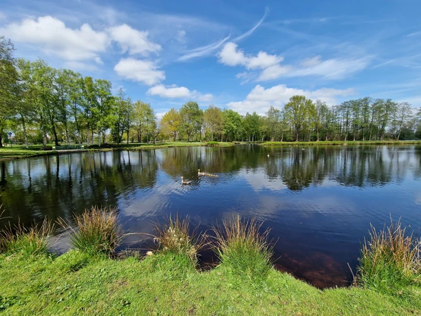 Hahnentanger_See_Sommer See auf dem Enten schwimmen und umgeben von Bäumen bei Schäfchenwolkenhimmel