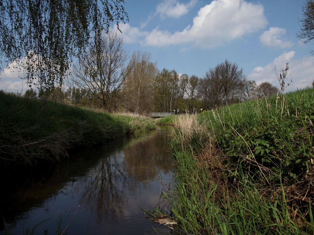 Otternhagen Bach Otternhagen Bach
