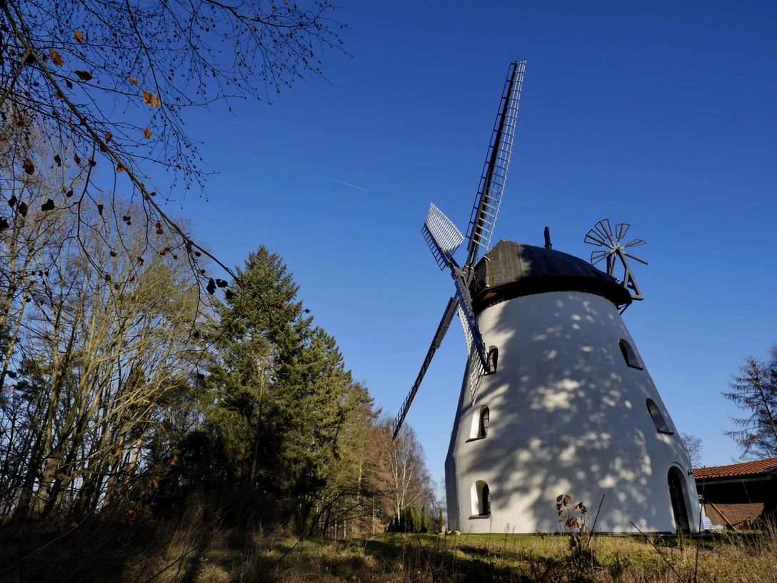 Windmühle Schneeren Windmühle Schneeren unter klarem blauen Himmel mit umgebenden Bäumen, herbstlich belaubt.