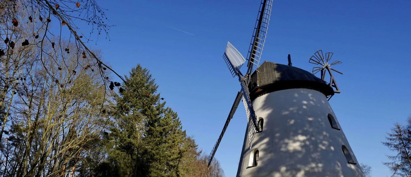 Windmühle Schneeren Windmühle Schneeren unter klarem blauen Himmel mit umgebenden Bäumen, herbstlich belaubt.