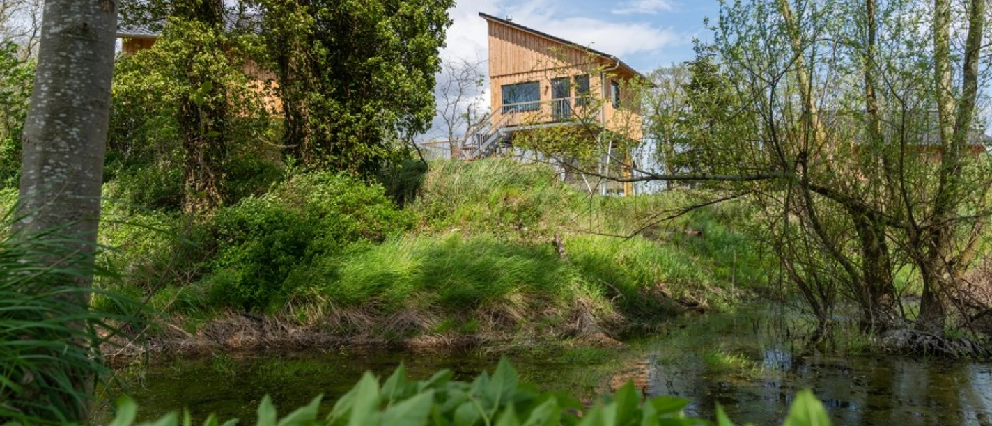 Die Außenansicht des Baumhauses Kohlmeise The outside view of the great tit tree house