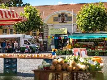 Historische Markthalle Herford bei sonnigem Wetter, bunte Stände, Marktbesucher und Baumallee.