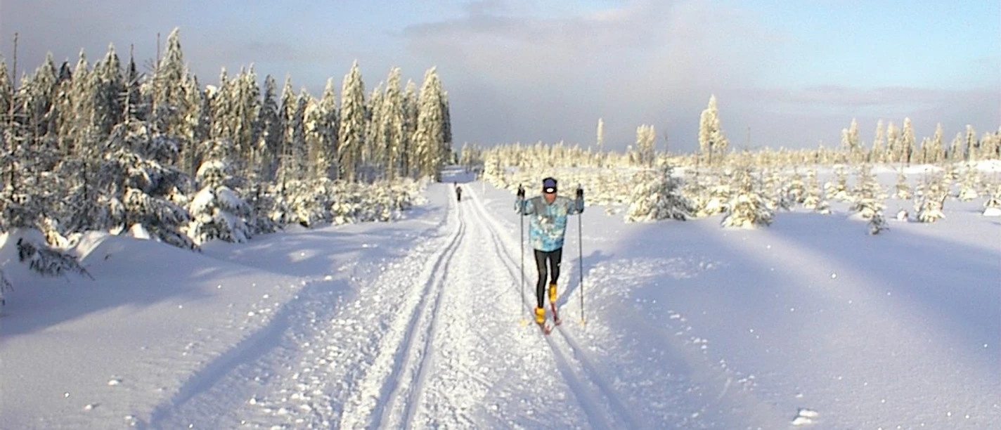 Winterzauber auf der Kammloipe