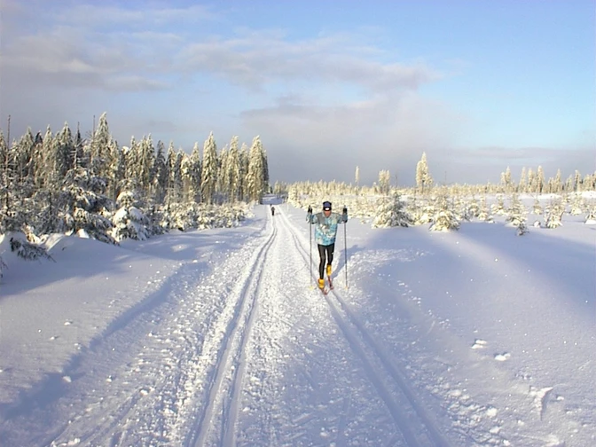 Winterzauber auf der Kammloipe