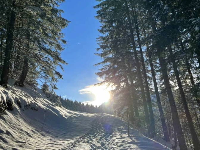 Schneeschuh-Trail im Wirzweli