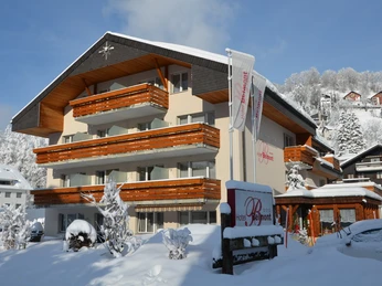 Hotel Belmont Winter