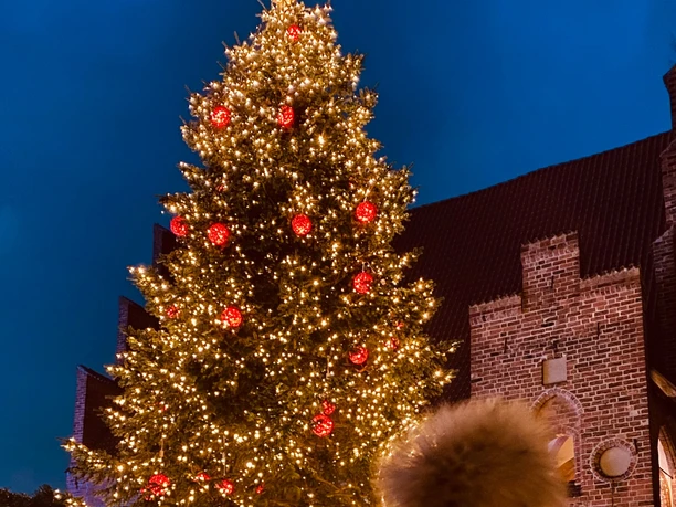 weihnachten Mölln.png