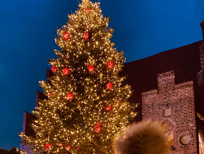 weihnachten Mölln.png