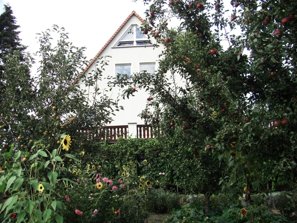 Pension_Zuschke_Meißen_Hausan_KLsicht Kopie