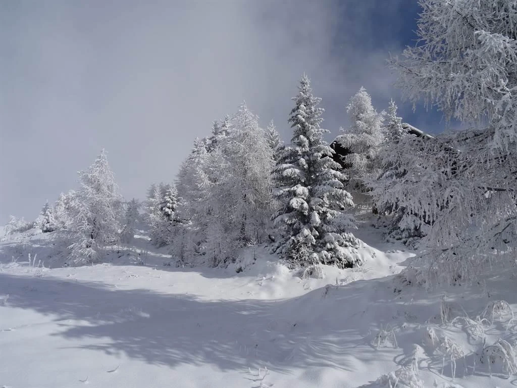 Wald Nähe Chalet Tilly