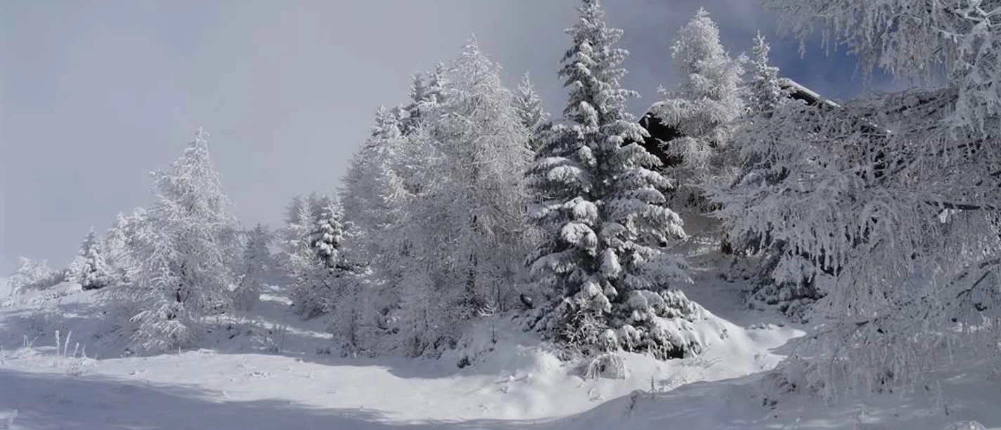 Wald Nähe Chalet Tilly