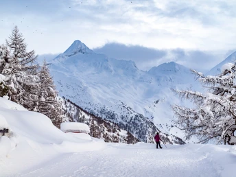 Schneeschuhwandern Rosswald
