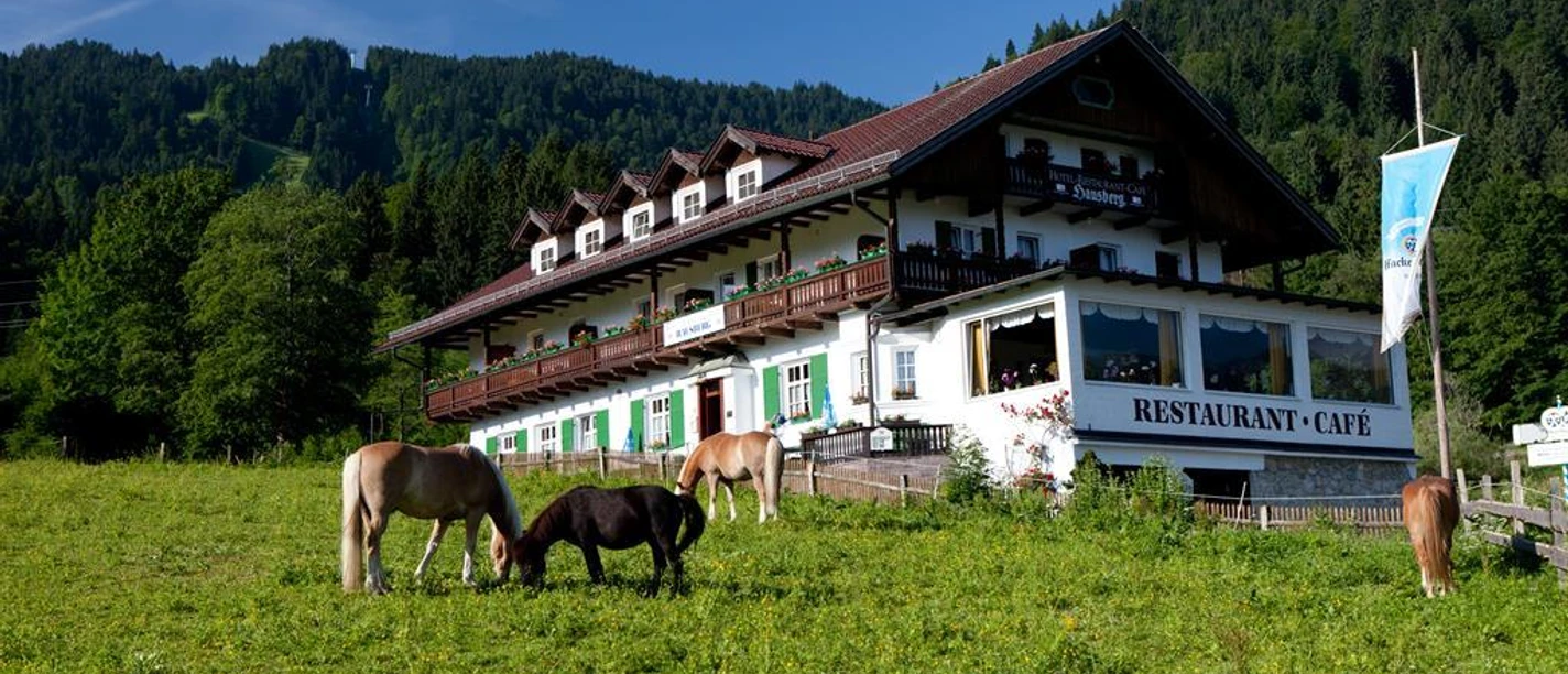 Pferde und Ponys vorm Hotel Pferde und Ponys vorm Hotel