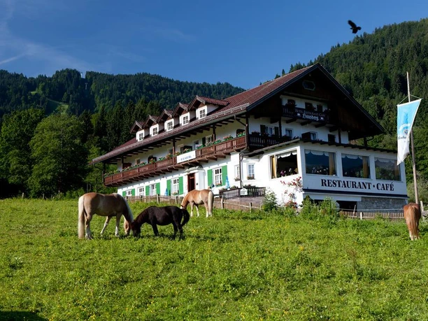 Pferde und Ponys vorm Hotel